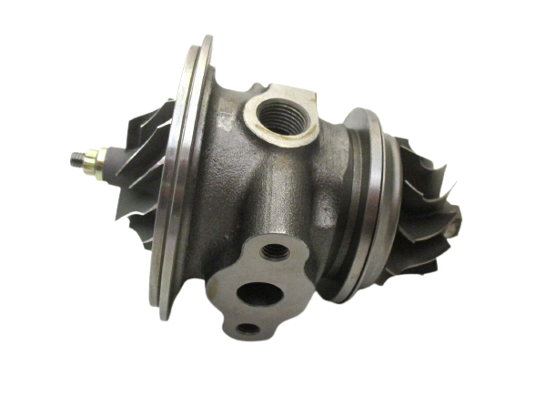 RDZEŃ KORAS CHRA GTCHRA-0211