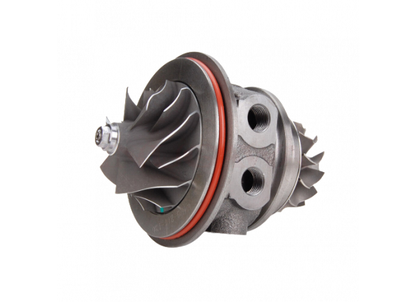 RDZEŃ KORAS CHRA GTCHRA-0228