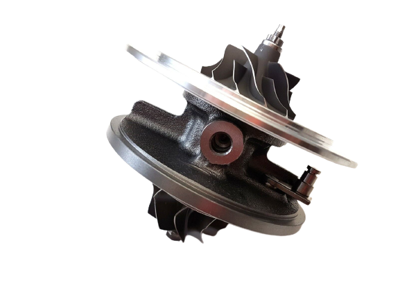 RDZEŃ KORAS CHRA GTCHRA-0232