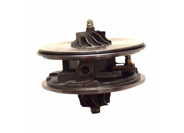 RDZEŃ KORAS CHRA GTCHRA-0243