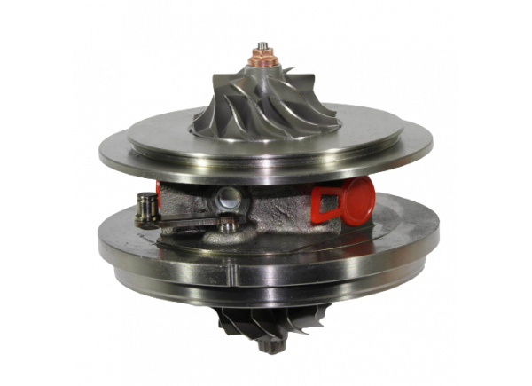 RDZEŃ KORAS CHRA GTCHRA-0269