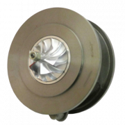 RDZEŃ KORAS CHRA GTCHRA-0271