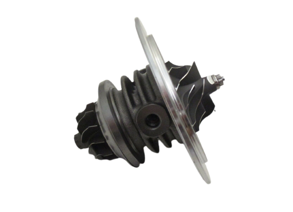 RDZEŃ KORAS CHRA GTCHRA-0275