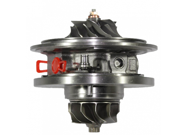 RDZEŃ KORAS CHRA GTCHRA-0278