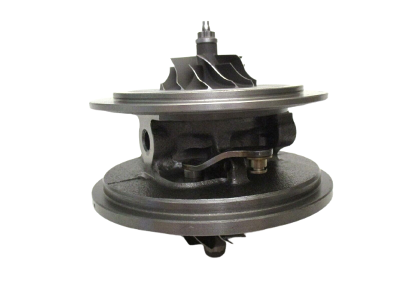 RDZEŃ KORAS CHRA GTCHRA-0281