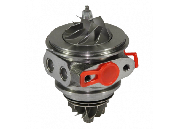 RDZEŃ KORAS CHRA GTCHRA-0284