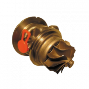 RDZEŃ KORAS CHRA GTCHRA-0316