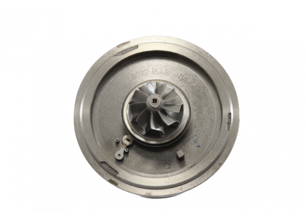 RDZEŃ KORAS CHRA GTCHRA-0322