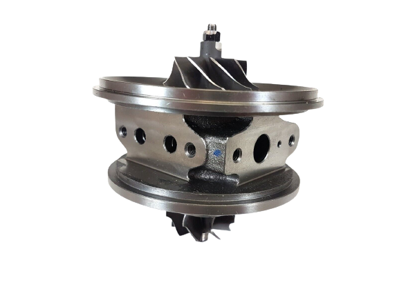 RDZEŃ KORAS CHRA GTCHRA-0364