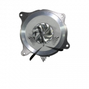 RDZEŃ KORAS CHRA GTCHRA-0730