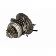 RDZEŃ KORAS CHRA GTCHRA-0747