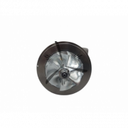 RDZEŃ KORAS CHRA GTCHRA-1257