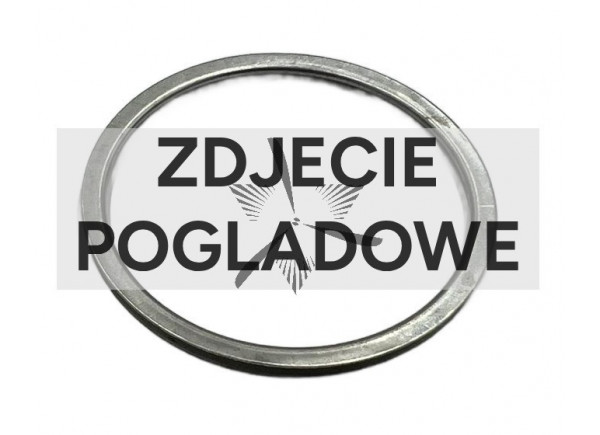 Uszczelka VNT Turbo Nozzle Ring VNT Gasket GTVSG-0019