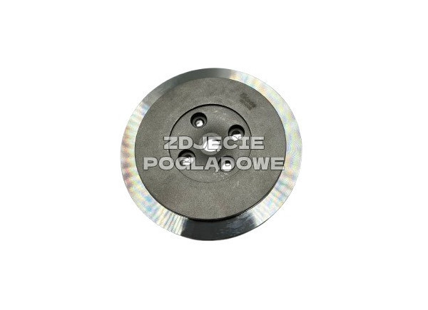 Talerzyk Back Plate Seal Plate GTBP-0351