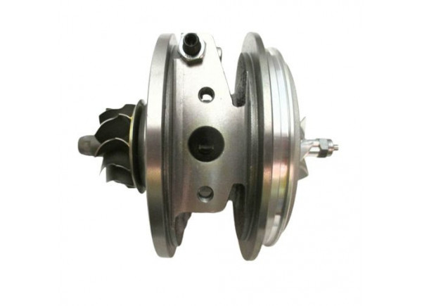 RDZEŃ KORAS CHRA GTCHRA-0489