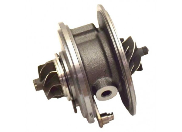 RDZEŃ KORAS CHRA GTCHRA-0490