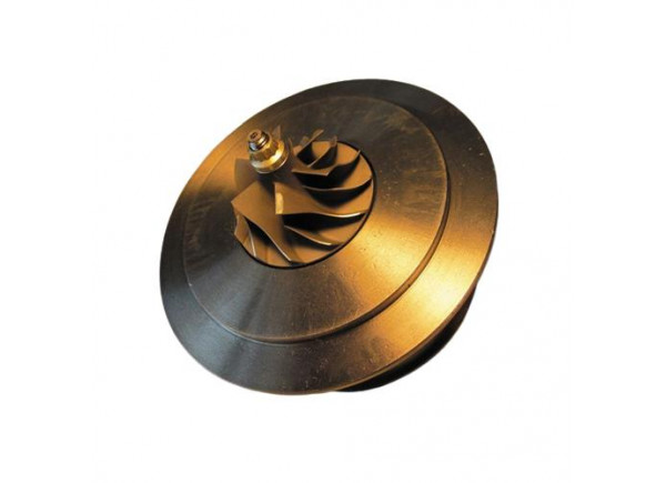 RDZEŃ KORAS CHRA GTCHRA-0549