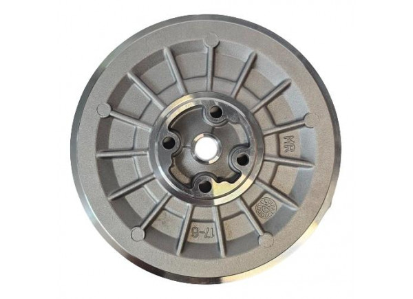 Talerzyk Back Plate Seal Plate GTBP-0036