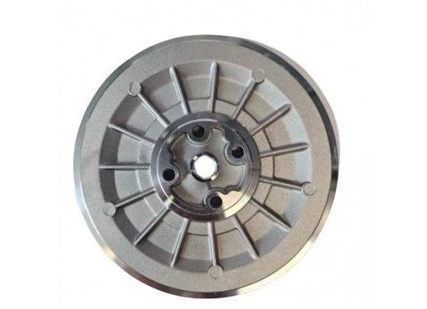 Talerzyk Back Plate Seal Plate GTBP-0050